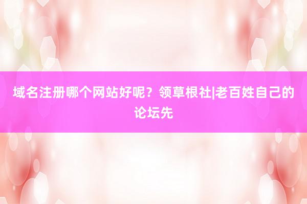 域名注册哪个网站好呢?领草根社|老百姓自己的论坛先