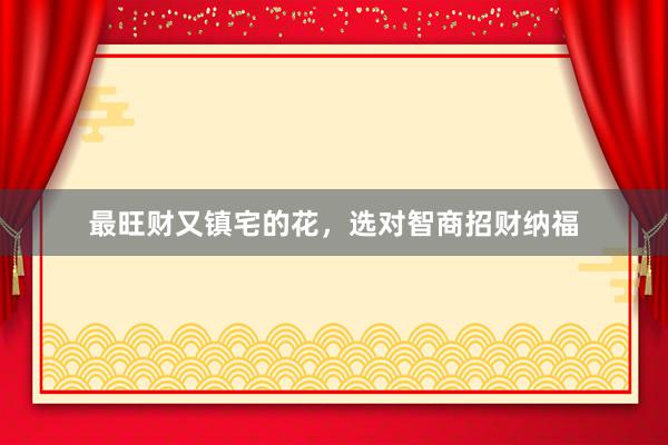 最旺财又镇宅的花，选对智商招财纳福
