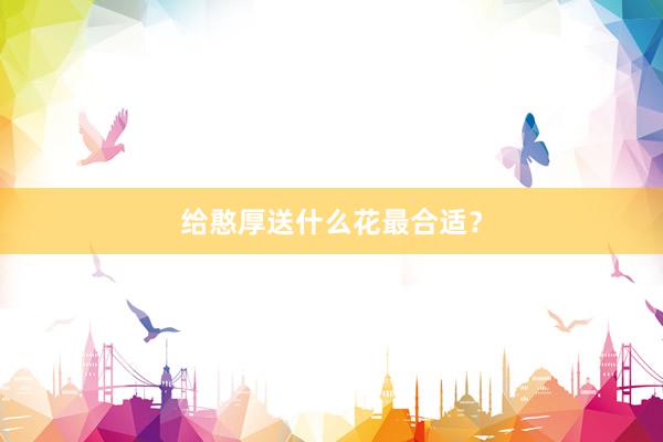 给憨厚送什么花最合适？