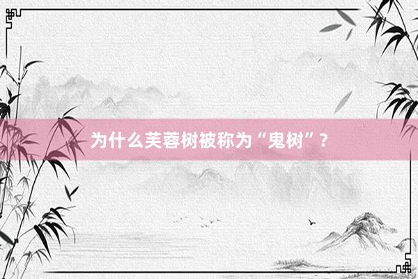 为什么芙蓉树被称为“鬼树”？