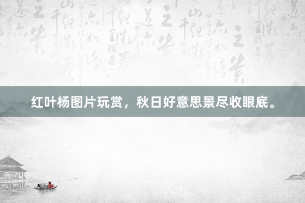 红叶杨图片玩赏，秋日好意思景尽收眼底。