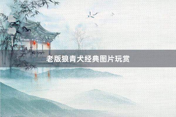 老版狼青犬经典图片玩赏