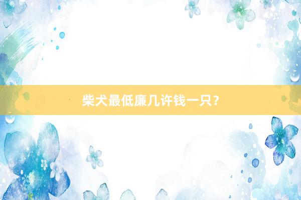 价钱低廉的袖珍犬推选
