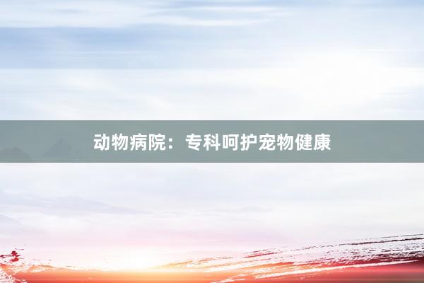 动物病院：专科呵护宠物健康